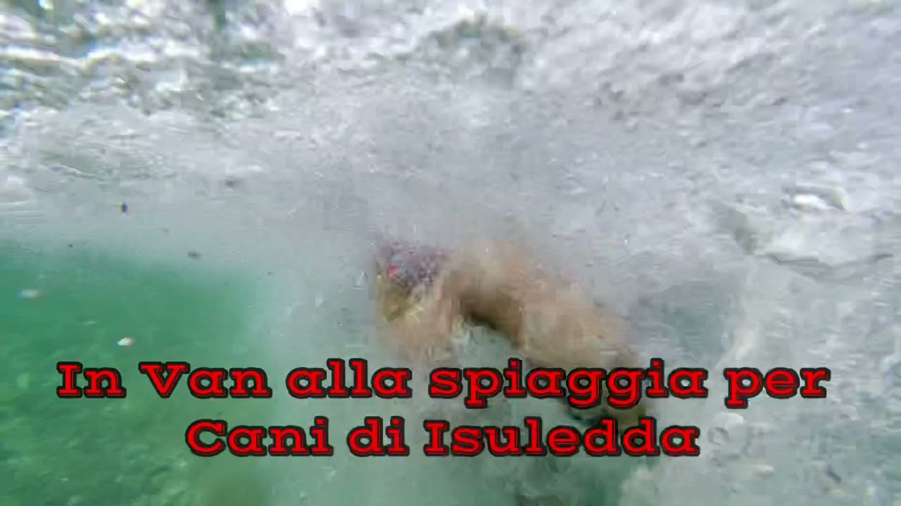 Costa orientale Sarda in Van ( Spiaggia per cani L’ Isuledda )
