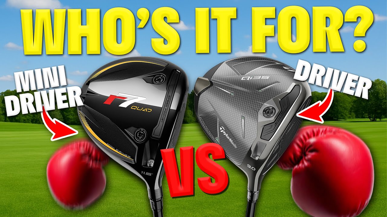 Mini Driver vs Driver — в какую игру играть?