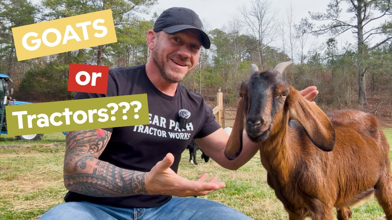 Start Your Farm with EASE | How We Care for Our GOATS