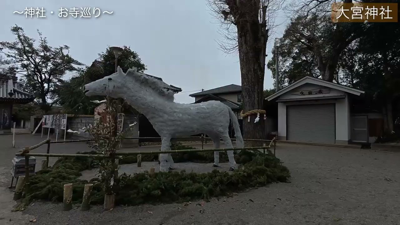 NO 56 大宮神社 〜神社・お寺めぐり〜