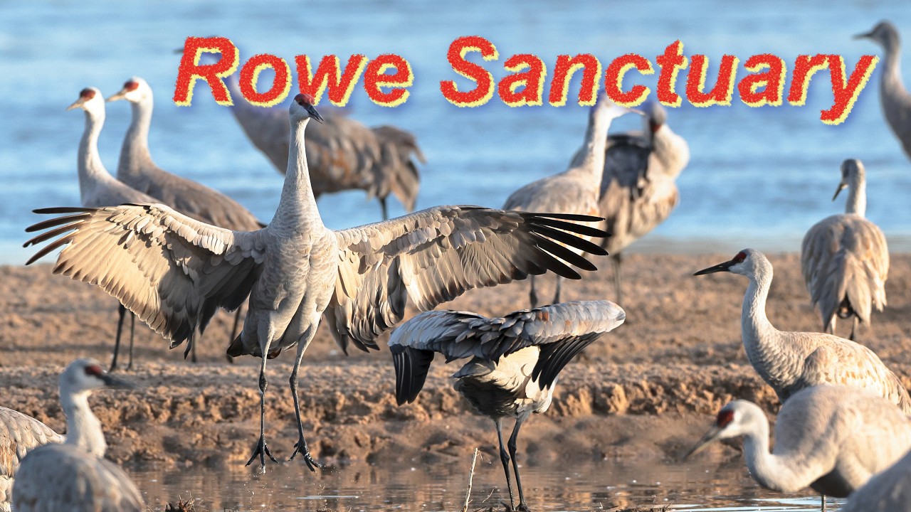 Kearney Audubon Rowe Sanctuary Platte River Photography Blind [stereo][wide screen]