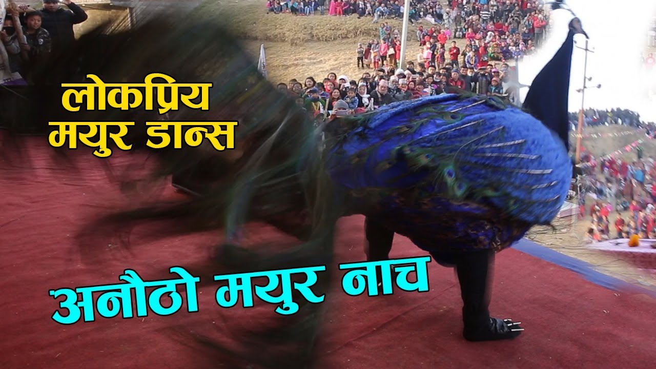 मयुर नाँच | MAYUR DANCE | Peacock Dance Nepal
