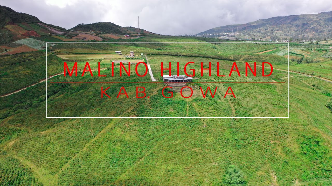 Menikmati Teh dan Sejuknya Udara Di Malino Highland