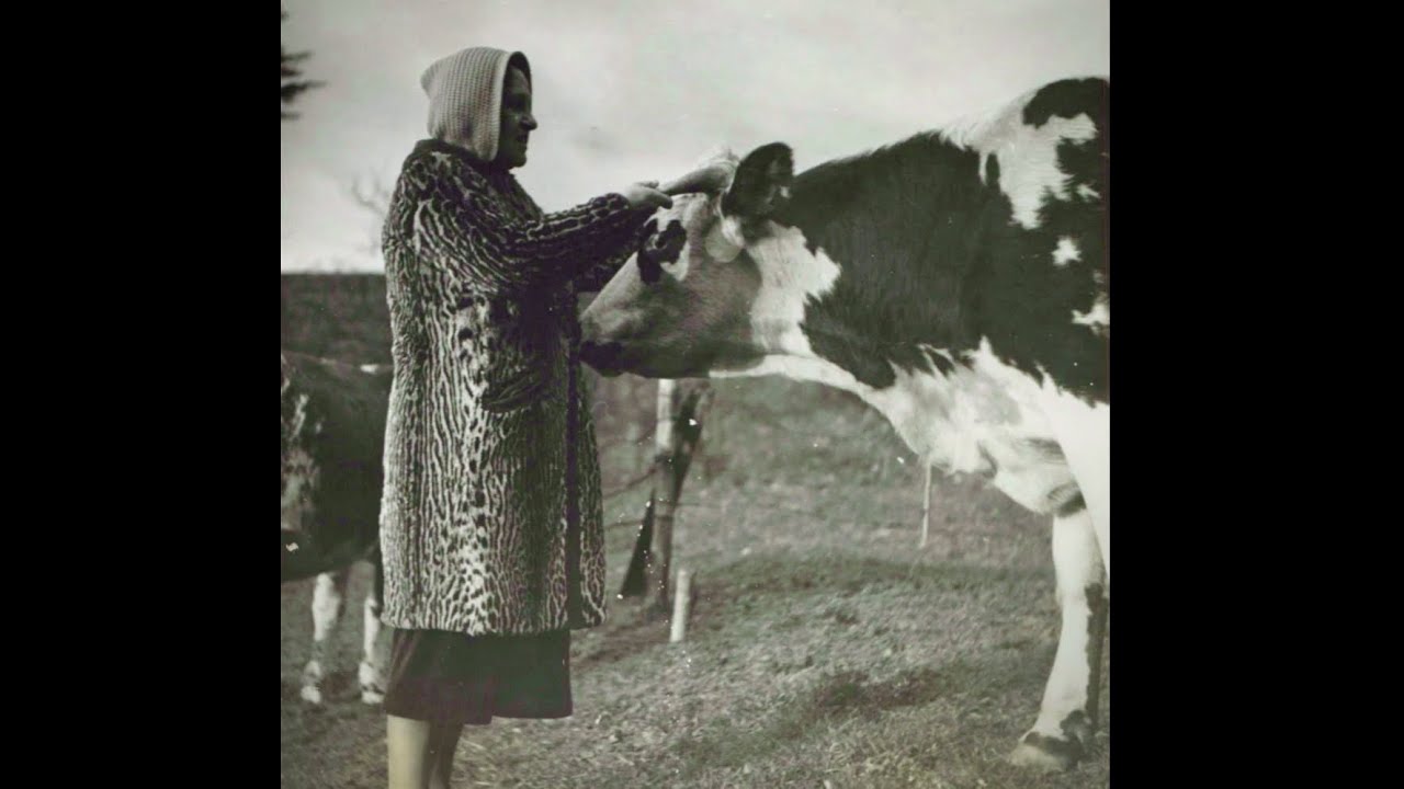 1937. Pathé record. Quand Madelon--from -La Fille de Madelon. Beautifully sung! Pic- Vallin w/ cow!