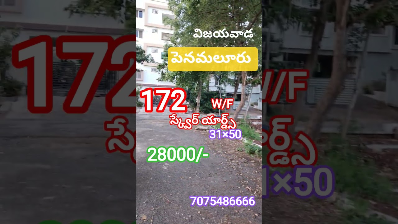 Vijayawada penamaluru open plot sale #home.