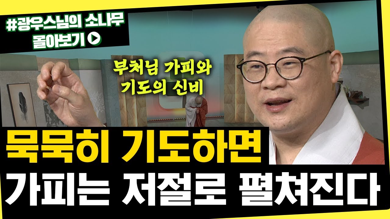 묵묵히 기도하면 가피는 저절로 펼쳐진다 [초심으로 돌아가는 광우스님의 소나무 시즌3 몰아보기]