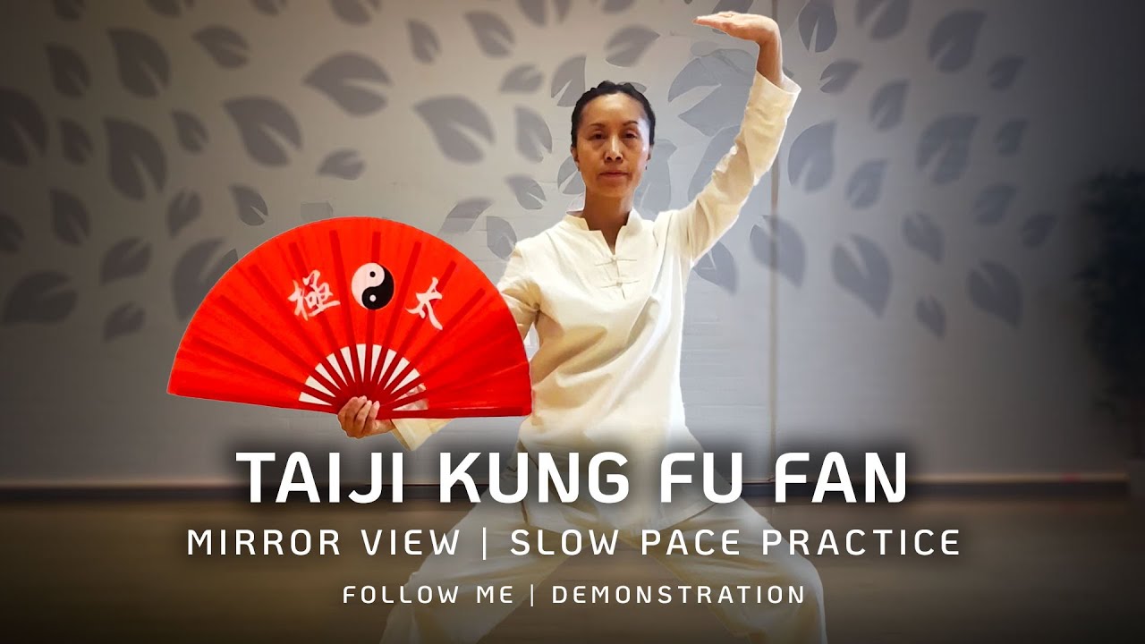 Tai Chi Fan | Taiji Kung Fu Fan |  Mirror View | Slow Pace Practice