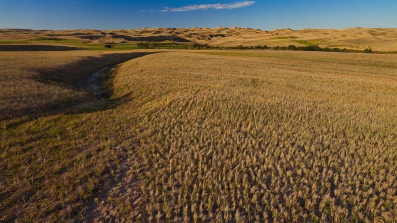 The Empty State | Unveiling Nebraska - Why Nobody Lives in Nebraska?