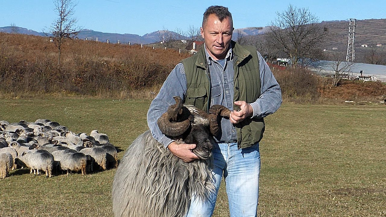 Kad sam čuo zvono napustio sam bauštelu