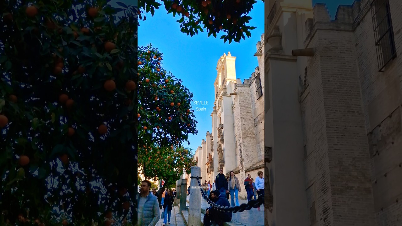 📍SEVILLE 🇪🇦 Winter City Walk in Europe&rsquo;s Most Beautiful City #travel #4k #walkingtour