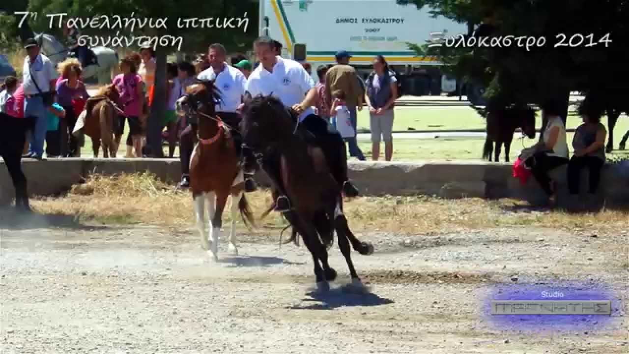 Ξυλόκαστρο 2014 - 7η Πανελλήνια ιππική συνάντηση