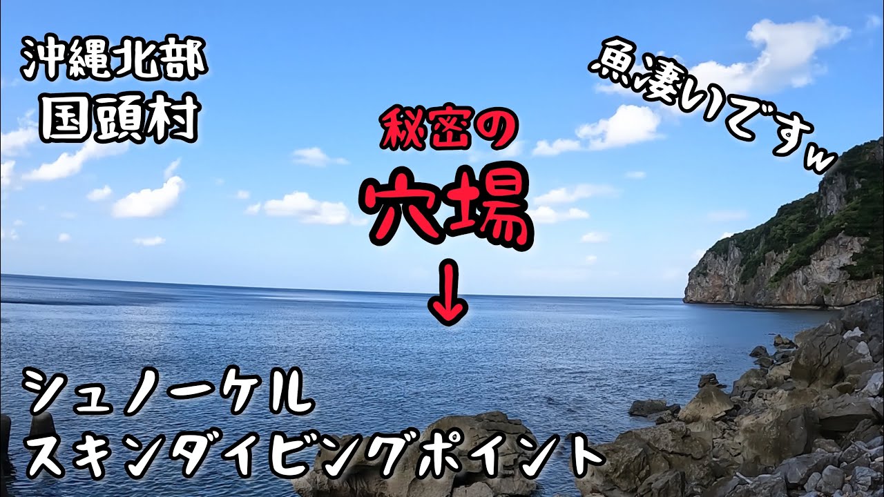 超穴場シュノーケルポイント詳しく紹介!!沖縄の海【4K】