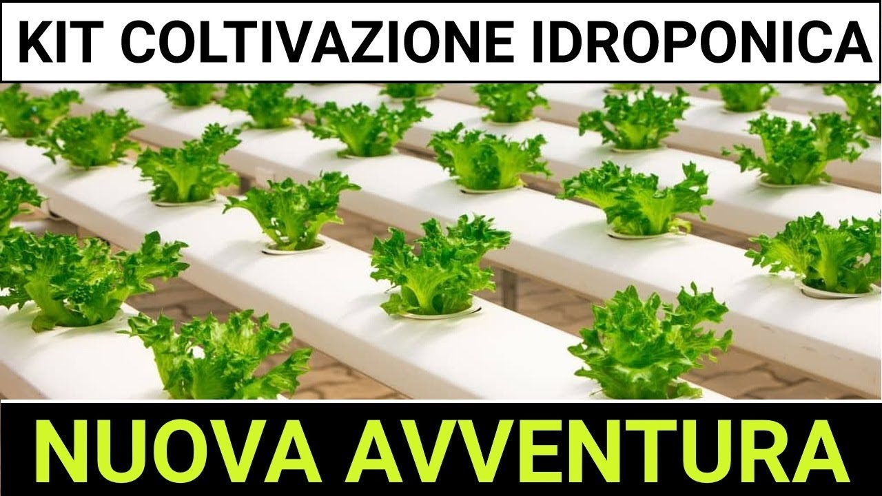 Kit idroponico per principianti. Installazione, pregi e difetti!