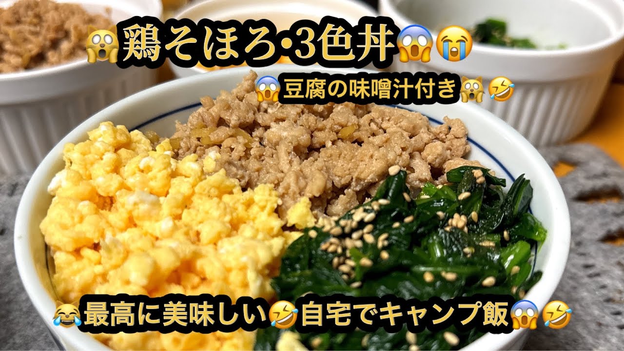 【プレミア】【４ｋ】🙀鶏そぼろ・3色丼・豆腐の味噌汁付き😭最高に美味し😱自宅でキャンプ飯😹(21m59s)　#ヒーリング#Healing#riokazumiのピアノ語り