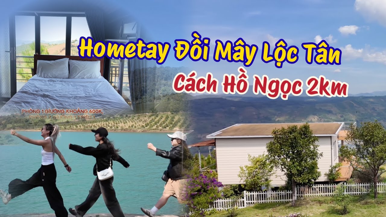 [BẢO LỘC ĐI ĐÂU] Bỏ Phố Lên Đồi Cách Hồ Ngọc 2km – 1 Ngày 1 Đêm Ở Đồi Mây Lộc Tân | Vy Bảo Lộc Vlog