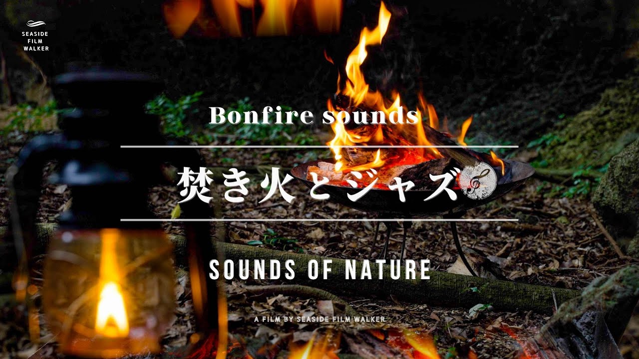 勉強や読書に集中するための焚き火音とジャズ音楽｜bonfire sounds