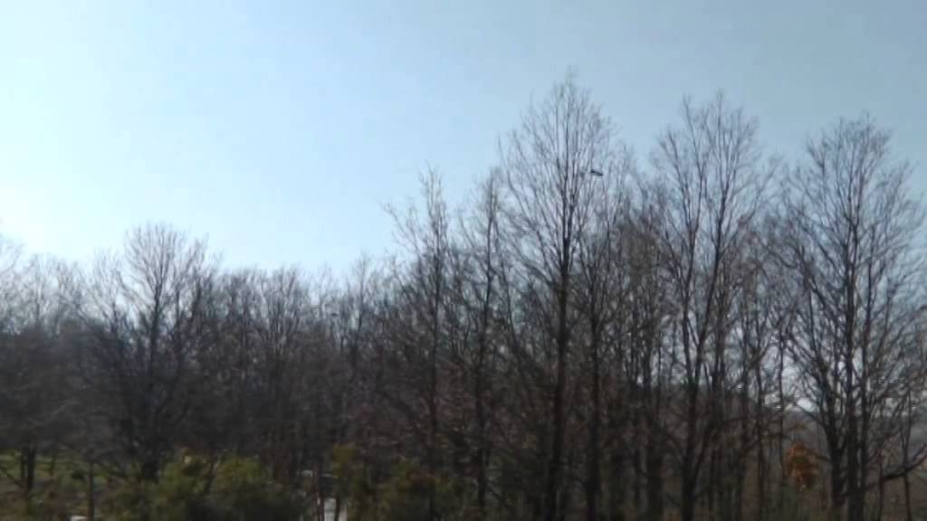 Yalova Güneyköy'de, taş ocakları katliamı... Video çekimleri
