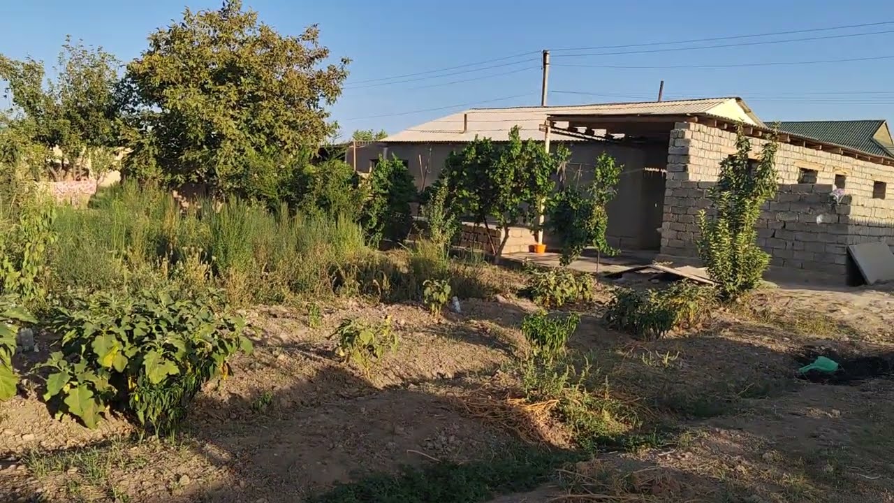 200 милон 21 сутих 5 хона хужакамолда 997458691  990299025