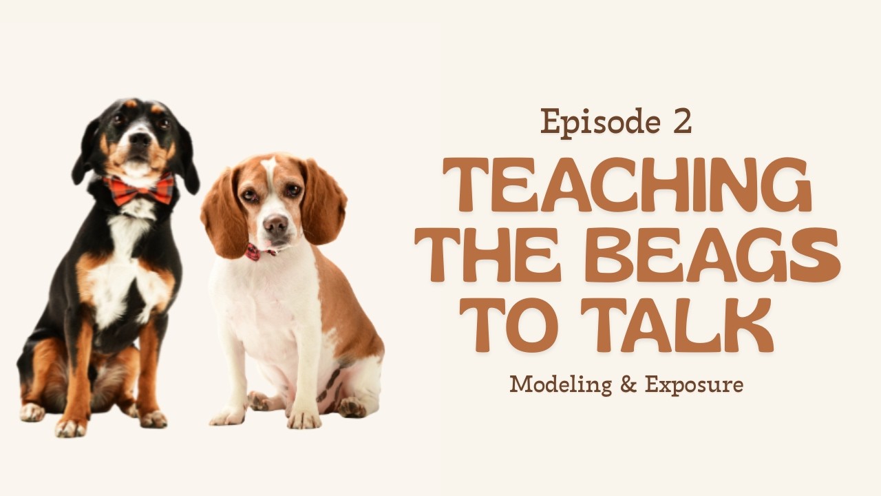 Dog Talking Buttons Training Week 2 | Consistency & Modeling