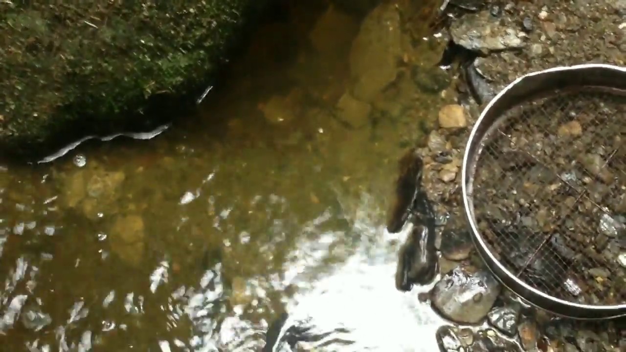 Home made sluice box with Vortex Mat