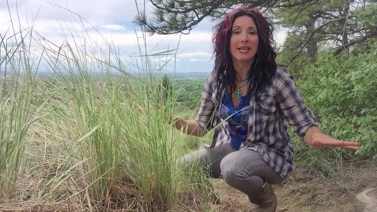 How is the Energy of Earth's Pole Shift Affecting Humanity?