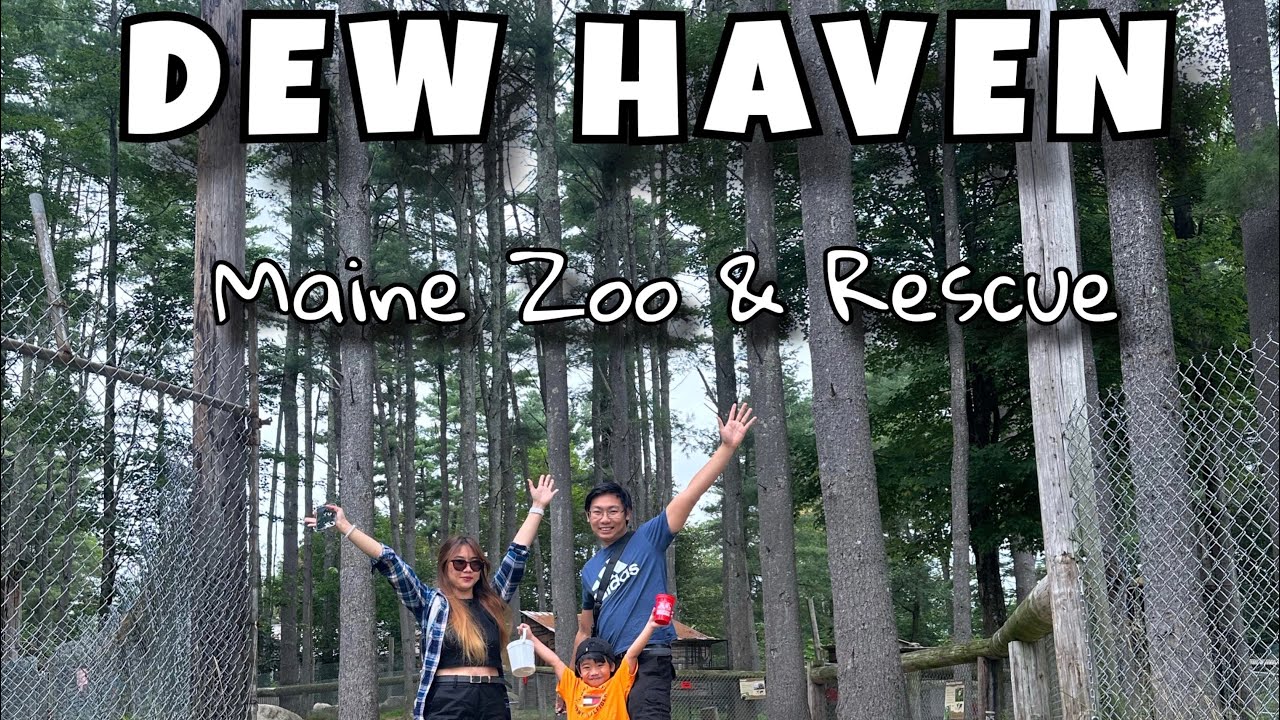 DEW HAVEN MAINE ZOO & RESCUE | MEDTECH HAM