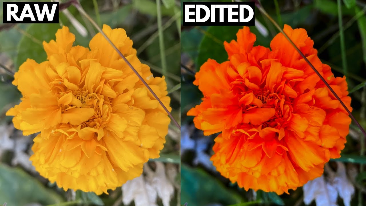 Apple ProRaw Format Explained + How To Edit All Photos On Your iPhone Using The Photos App (Free)