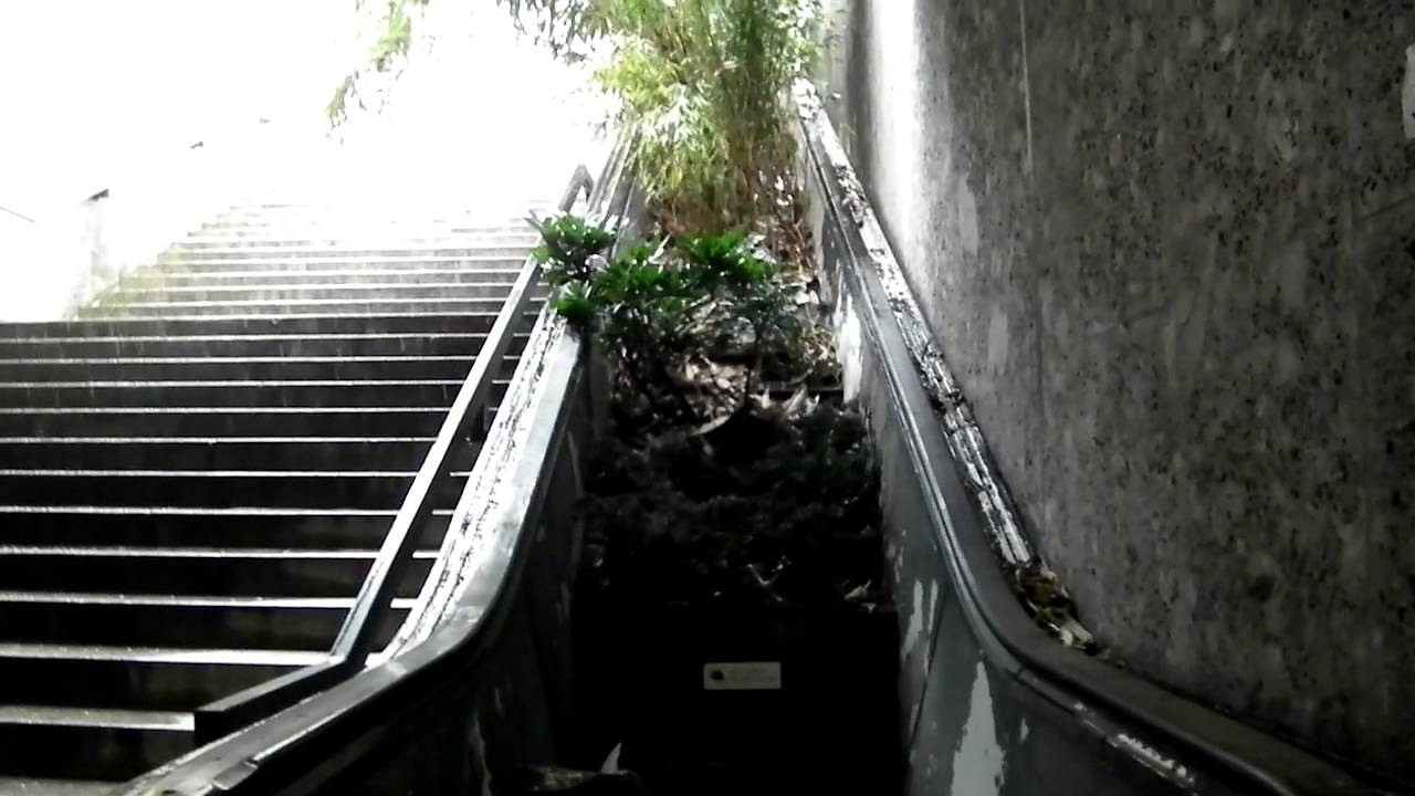 M&uuml;nchen - mystische Unterf&uuml;hrung - Maximiliansforum