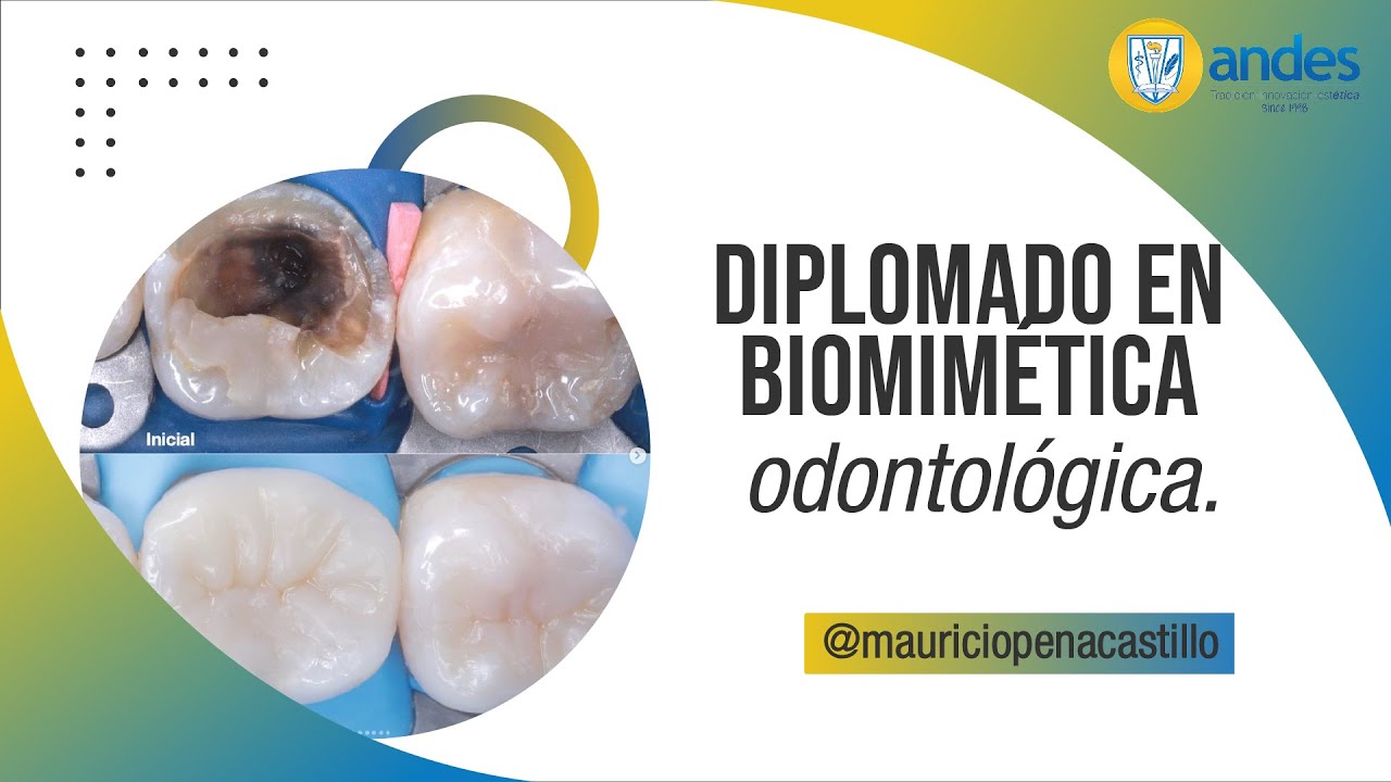 Diplomado en Biomimética Odontológica.