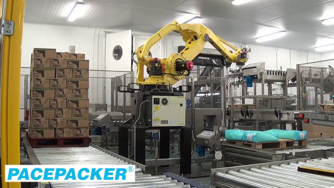 Pacepacker Introduction