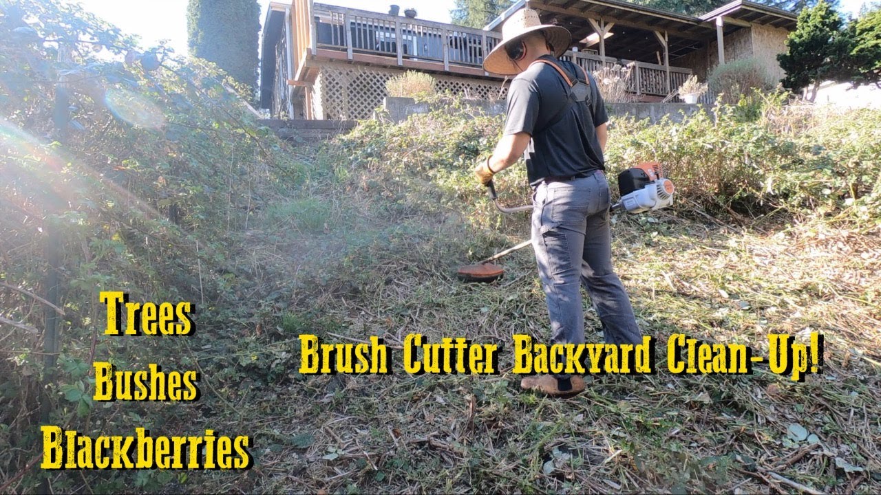 Backyard Clean-Up for New Home Owners! Stihl FS-131 Brush Cutter #Stihl #Satisfying