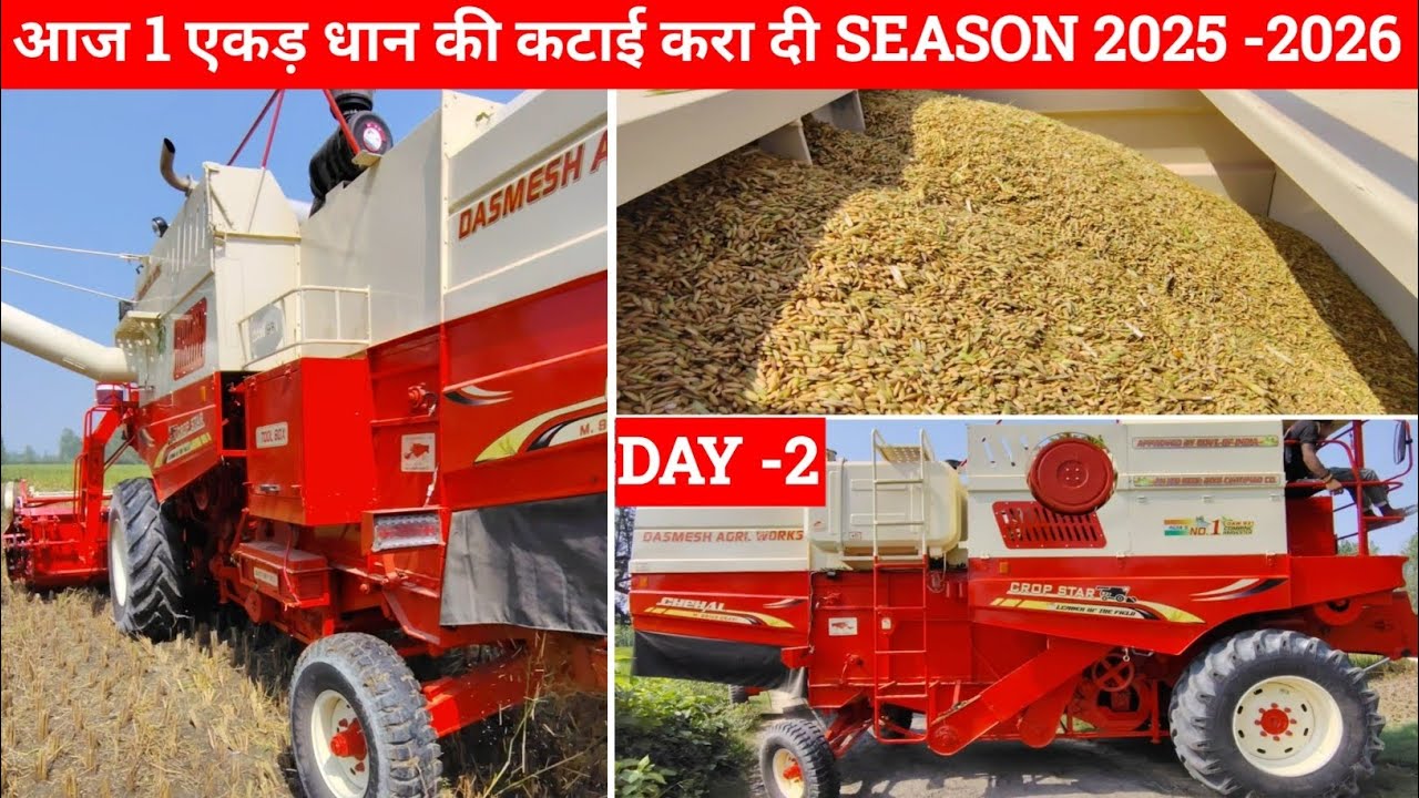 आज 1 एकड़ धान की कटाई करवा दी। DAY -2 ,SEASON 2025-26 , DSR METHOD धान 
