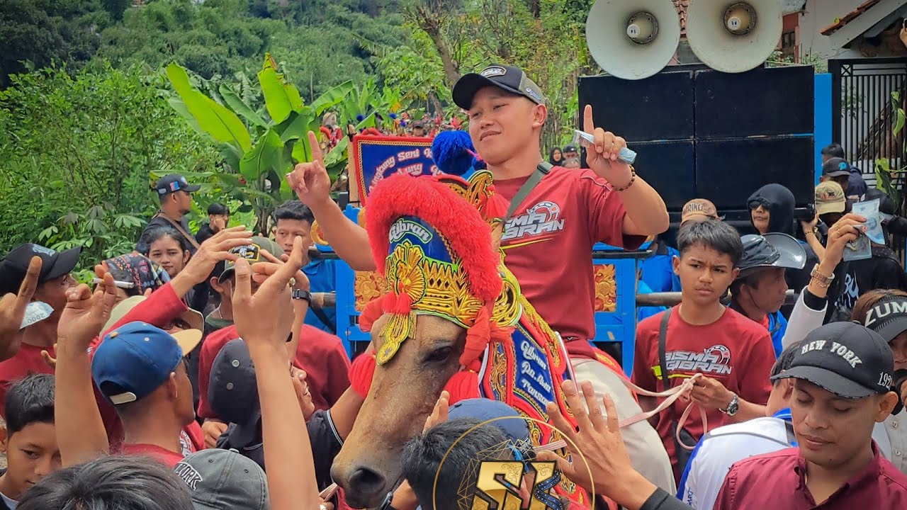 LIVE CILULUK‼️MUSIK 2 TANJI JANAKA GRUP MERIAHKAN HAJATAN BISMA GIBRAN STABLE