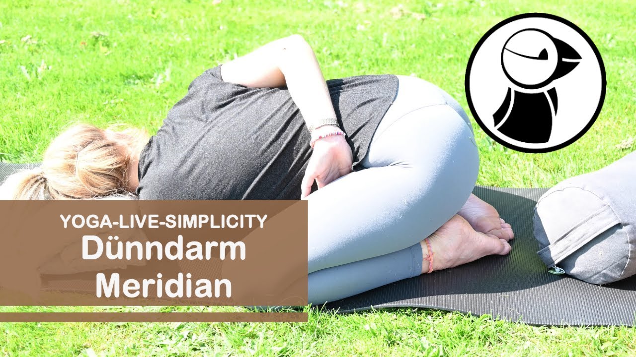 Dünndarm Meridian Yin Yoga - Video Nr. 88