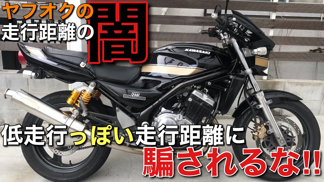 【バリオス2】商品説明と合わせて業界の闇に触れます