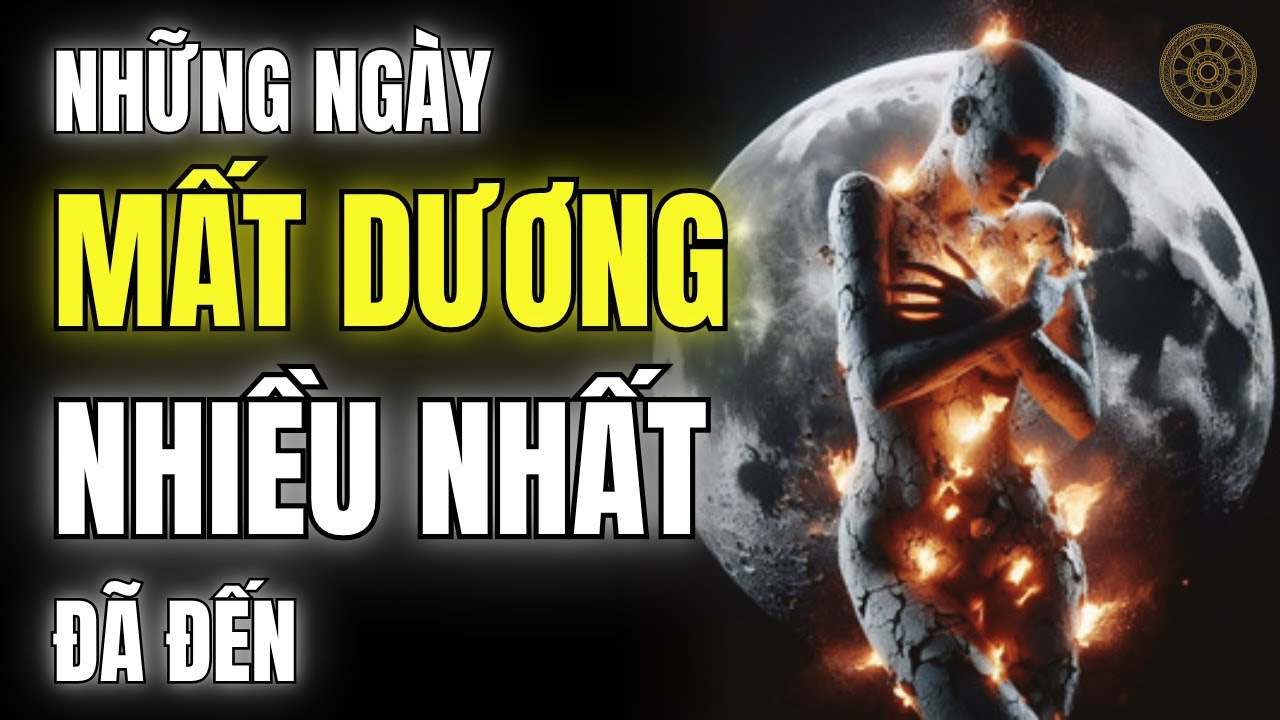 Vì Sao Gừng Non Là Bảo Bối Dưỡng Dương Mùa Hè Mà Người Hiện Đại Bỏ Quên?
