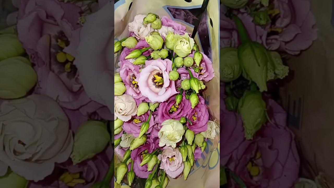 السلام عليكم ورحمة الله  بغيت نشارك معكم هاد الطلبية ديال الورد غزالة  إذا اعجبتكم متنسوش لايك