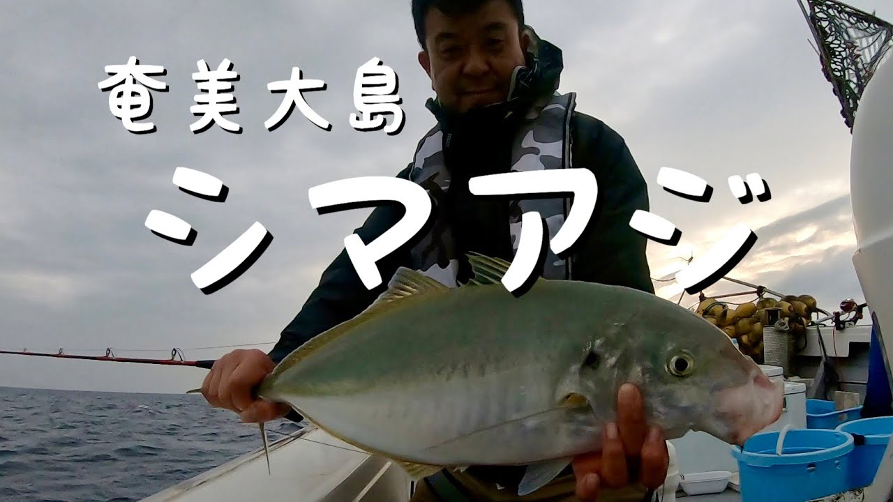 [奄美大島]カンパチ、シマアジ、アオダイ　五目釣り＆ジギング＆泳がせ釣り