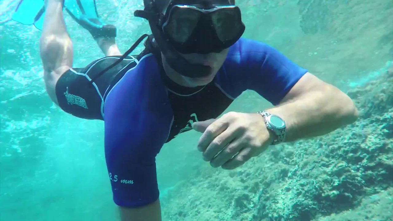 PONZA E PALMAROLA 2017