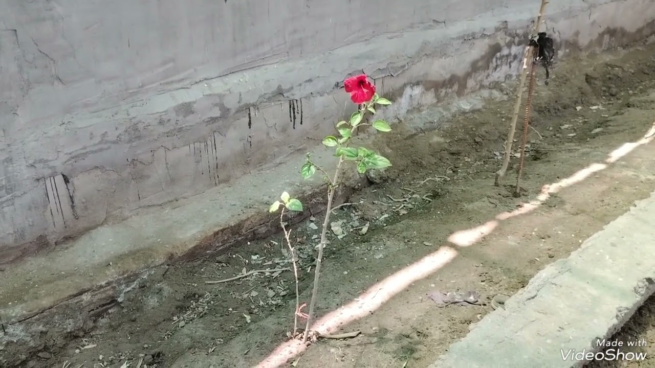 جوله داخل المحميه .عمل منظومه رذاذ الماء بداخل المحميه الى الطيور. حلقه (14)