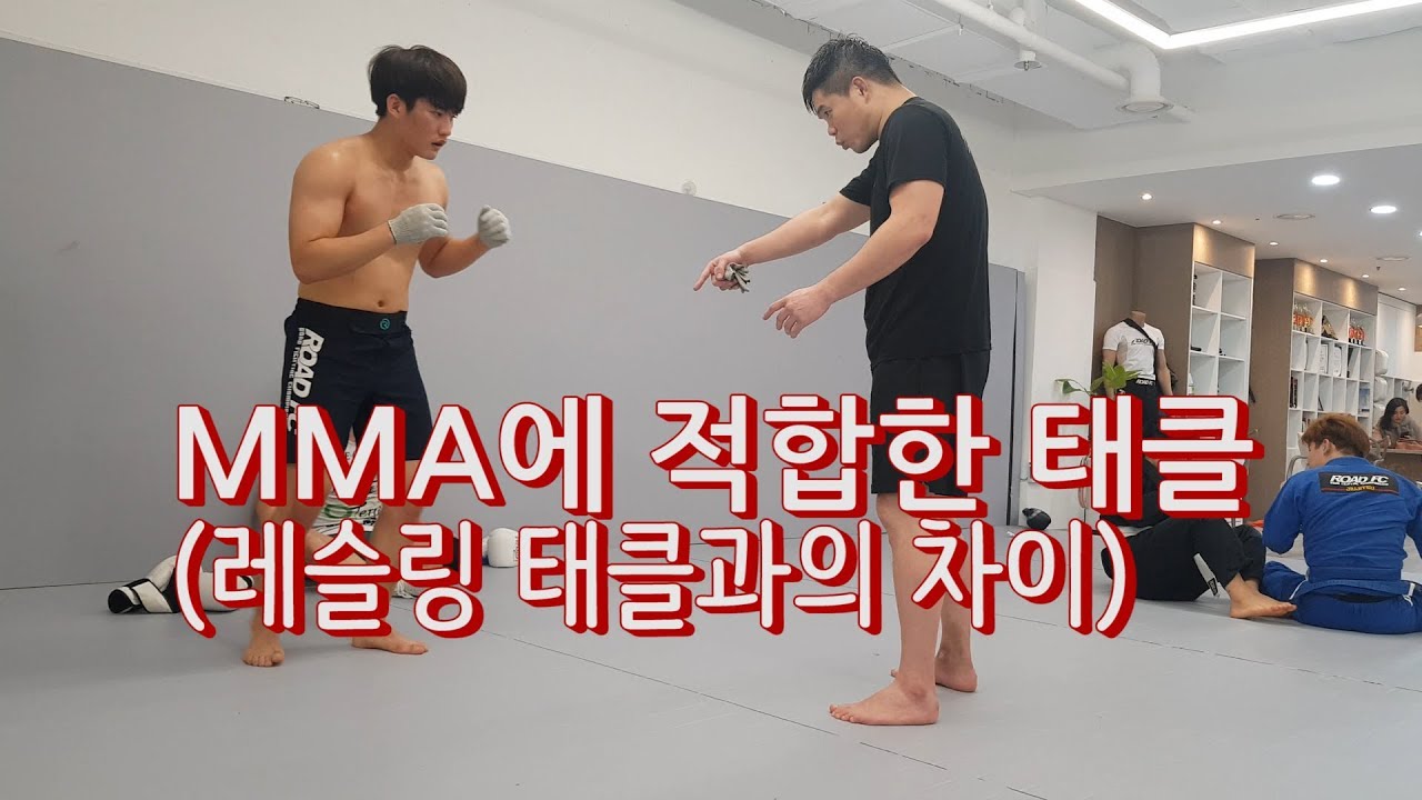 MMA에 적합한 태클 방법[김대환 관장]