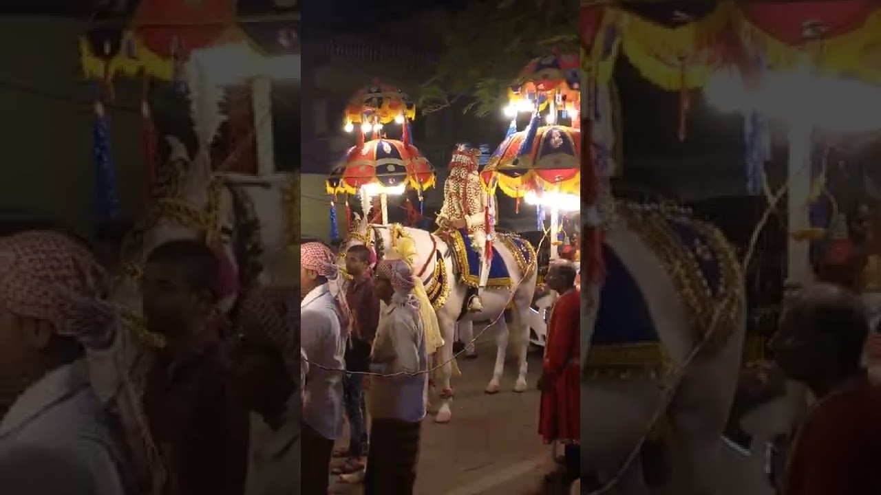 Somali Hindi Weddings 💑  Hyderabad  || Aroos Somali iyo Hindi ||