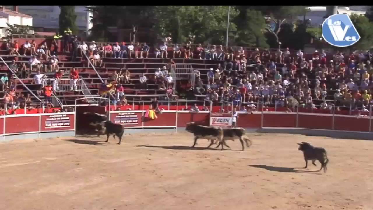 Encierro del Lunes de las fiestas de Santiago Apóstol de Collado Villalba