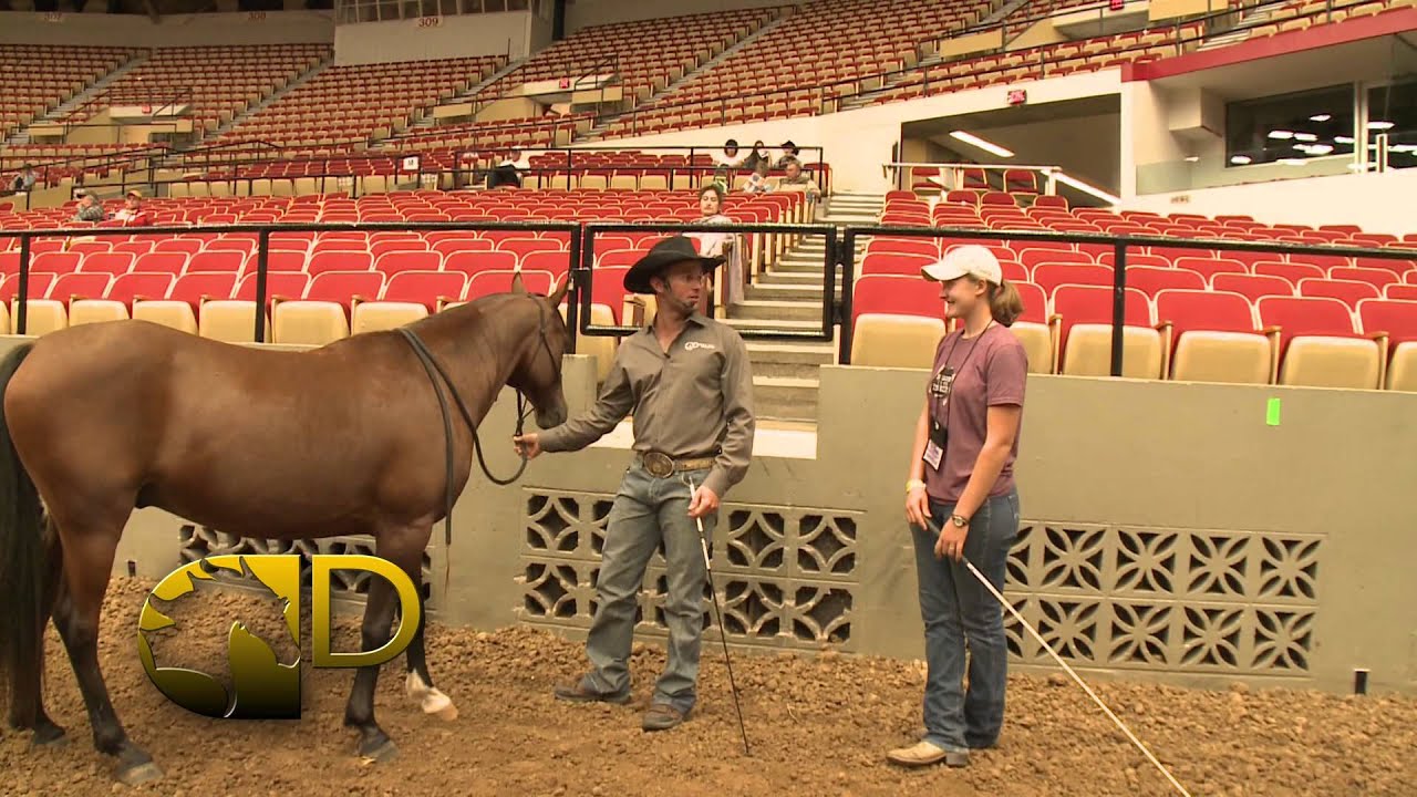 Double Dan Horsemanship Clinics