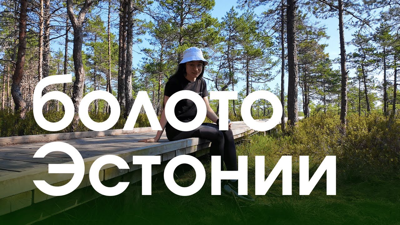 Искупалась в эстонском болоте, почему эстонцы купаются в болоте Viru raba