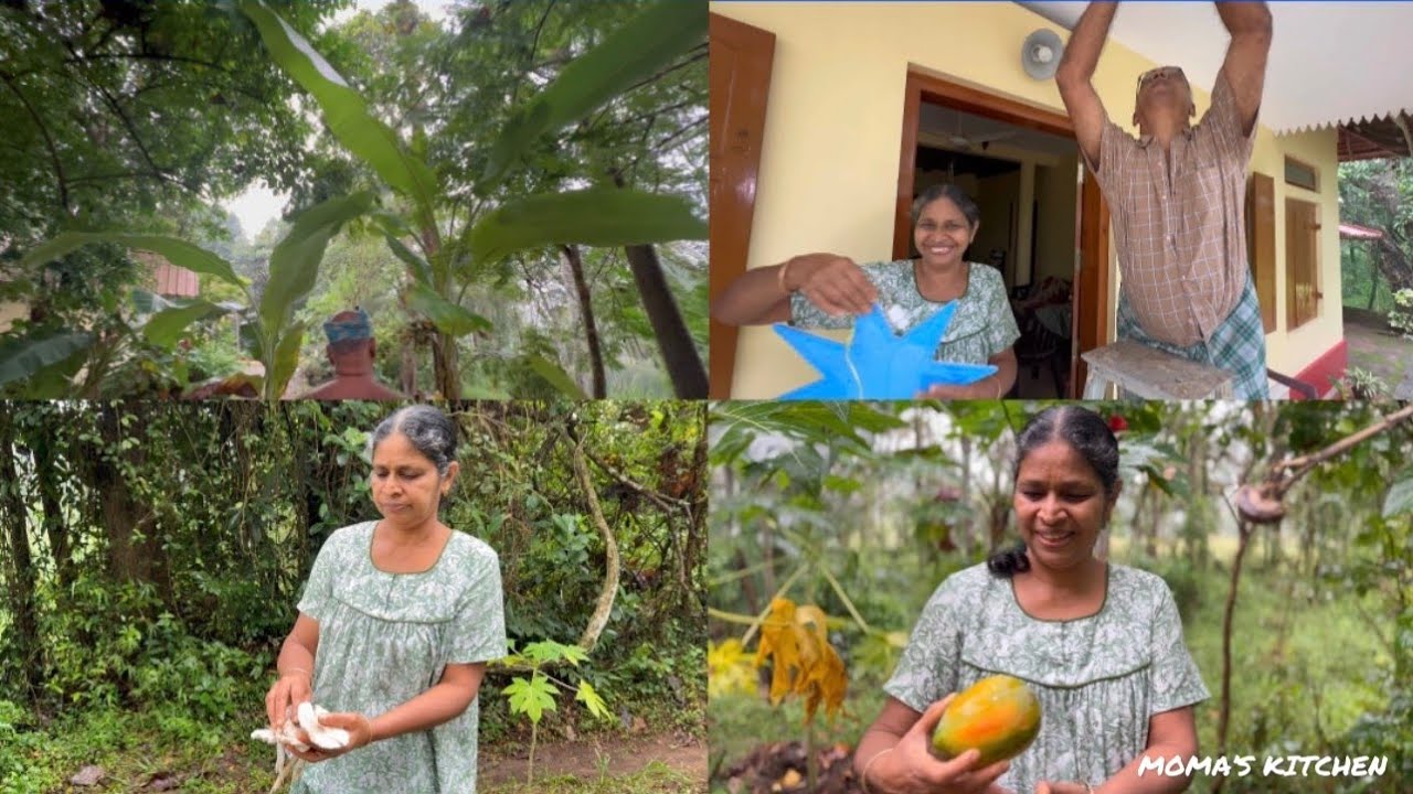 മഴയുള്ള ഒരു വൈകുന്നേരം☔🌧️ ഞങ്ങൾക്ക് പറമ്പിൽ നിന്നും കിട്ടിയ സാധനങ്ങൾ എന്തൊക്കെയാണെന്ന് കണ്ടോ 😍
