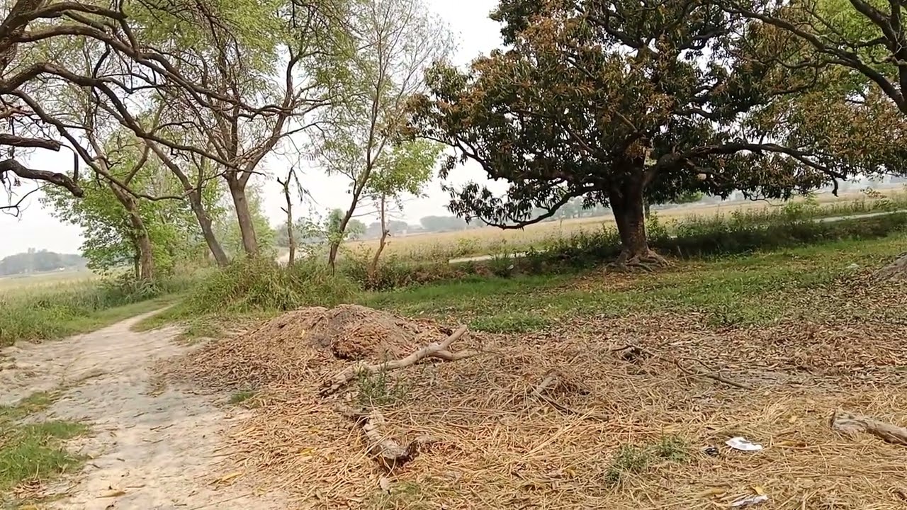 Bagicha..., बगीचा! क्यों सुंदर है गांव? Why Village is Beautiful? #गांव #indian #village