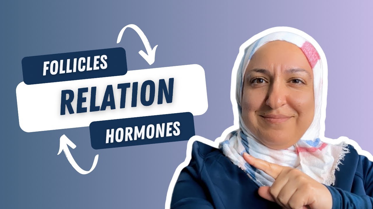 Ovarian hormones- follicles relationship