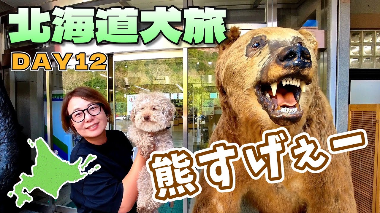 【北海道犬旅2025】熊すげぇ…想像以上に賢かった！昭和新山熊牧場で本物の熊を体験｜DAY12｜INUVAN LIFESTYLE