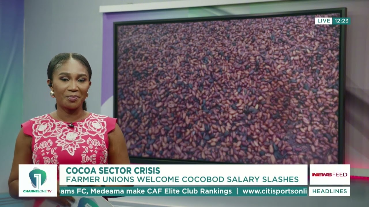 Cocoa Sector Crisis: Farmer Unions Welcome COCOBOD Salary Cuts | News Feed